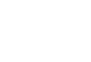 silver-antelope-364569.hostingersite.com